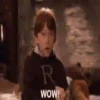 Harry Potter   Mov 11