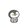 Pingüino Mame Mov. 10