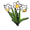 Flowers         (Mov) 15