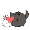 Couple of White Rabbit 8