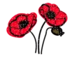 Flowers         (Mov) 16