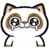 Meow Meow Club  .MOV 9