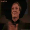 Harry Potter   Mov 12