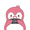 ️Pink penguin  MOV 17