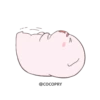 Baby Pig 18