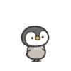 Pingüino Mame Mov. 12
