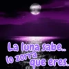 La luna sabe.. que eres lo zorra