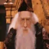 Harry Potter   Mov 15