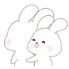 ️Kim bunny mix  MOV 14