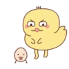 ️Pollo amarillito  MOV 13