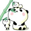 ️Milk dog   MOV 14