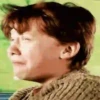 Harry Potter   Mov 16