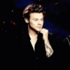 Harry Styles 16