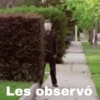 Michael Myers Mov 15