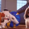 THE SECRET LIFE OF PETSMOV 19