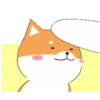 Shiba best friend .MOV 8