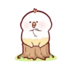 ️Tierno pollo  MOV 21