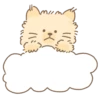 Cute animals 1 24
