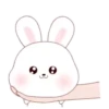 ️Kim bunny mix  MOV 17