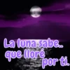 La luna sabe.. que lore por ti.