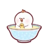 ️Tierno pollo  MOV 23