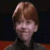 Harry Potter   Mov 24