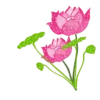 Flowers         (Mov) 17