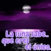 La luna sabe.. que ereste el único