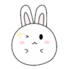 Couple of White Rabbit 16