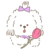 Cute animals 1 26