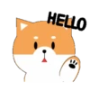Shiba best friend .MOV 13