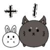Couple of White Rabbit 17