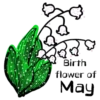 Flowers         (Mov) 18