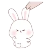 ️Kim bunny mix  MOV 22