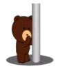 BROWN & FRIENDS "dero" 21