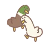 Animals Cute 20