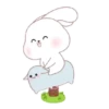 ️Kim bunny mix  MOV 23