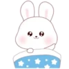 ️Kim bunny mix  MOV 24