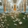 Aesthetic 2 26