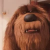 THE SECRET LIFE OF PETSMOV 26