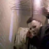 Michael Myers Mov 30