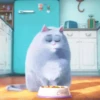 THE SECRET LIFE OF PETSMOV 27