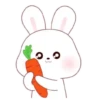 ️Kim bunny mix  MOV 27