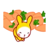 Yellow rabbit MOVbyYessy 23
