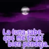 La luna sabe que me traes bien pendeja.