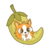 ● Spicy Puppy Mov. ● 22