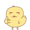 ️Pollo amarillito  MOV 22