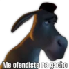 Mexico 26