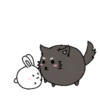 Couple of White Rabbit 24