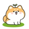 Cute lovely dog (Mov) 6
